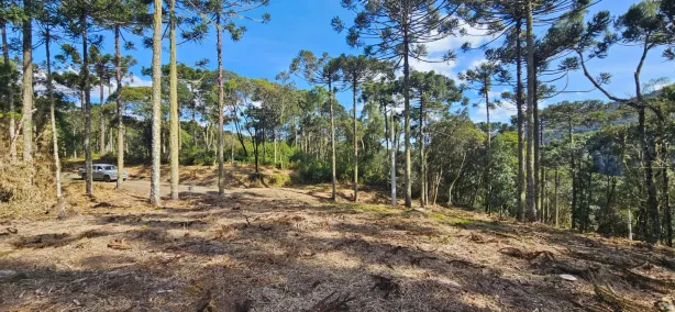 Lote/Terreno à venda, 20000m² no , Urubici
