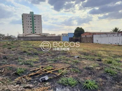 Lote/Terreno à venda, 354m² no Segismundo Pereira, Uberlândia