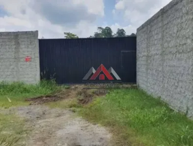 Lote/Terreno para alugar, 8000m² no Ipelândia, Suzano
