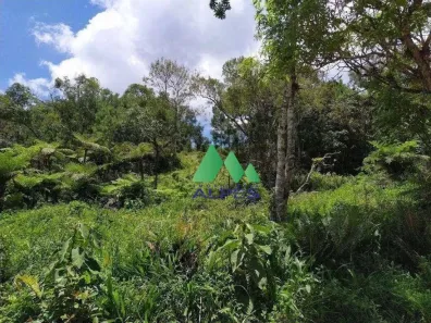 Fazenda/Sítio com 1 Quarto à venda, 35000m² no Matulão, Tijucas do Sul