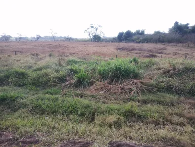 Lote/Terreno à venda, 153000m² no Adelino Simioni, Ribeirão Preto