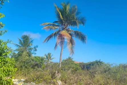Lote/Terreno à venda, 390m² no Praia de Carapibus, Conde