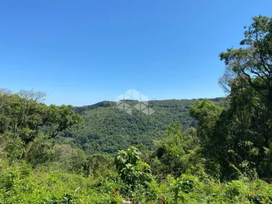 Fazenda/Sítio à venda, 30000m² no , Nova Petrópolis