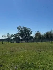 Fazenda/Sítio à venda, 130000m² no Boa Vista (Capão da Porteira), Viamão