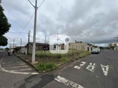 Lote/Terreno para alugar, 180m² no Santa Mônica, Uberlândia