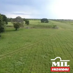 Fazenda/Sítio à venda, 1m² no , Ribeirão Cascalheira