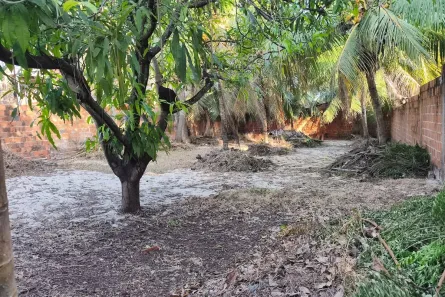 Lote/Terreno à venda, 387m² no , Cruz