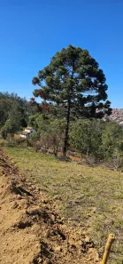Lote/Terreno à venda, 800m² no Mairinque, Mairinque