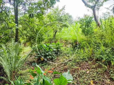 Fazenda/Sítio com 2 Quartos à venda, 90m² no Barragem, São Paulo