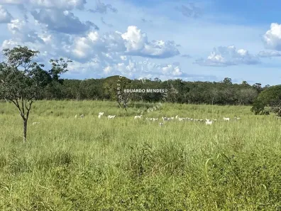 Fazenda/Sítio com 3 Quartos à venda, 895000m² no , Niquelândia