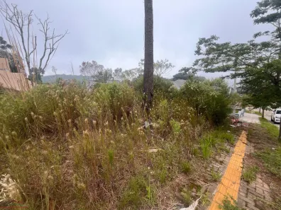 Lote/Terreno à venda, 360m² no Dos Boêmios, Nova Petrópolis