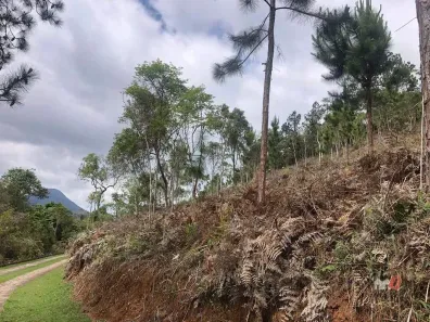 Lote/Terreno à venda, 15095m² no Cuiabá, Petrópolis