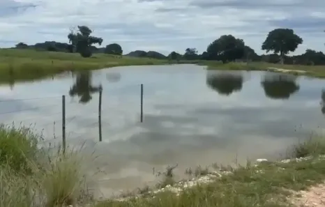 Fazenda/Sítio com 3 Quartos à venda, 206m² no , Matrinchã