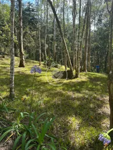 Lote/Terreno à venda, 10950m² no Quebra Frascos, Teresópolis