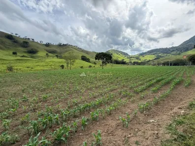 Lote/Terreno à venda, 600m² no , São Bento do Sapucaí