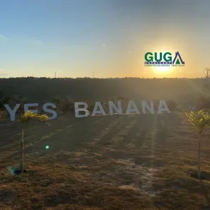Lote/Terreno à venda, 324m² no , Bananeiras