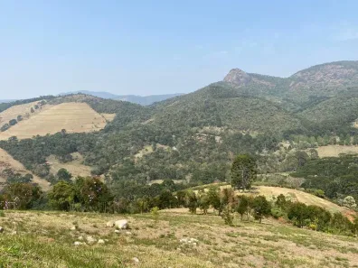 Lote/Terreno à venda, 20000m² no , Gonçalves