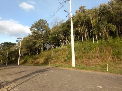 Lote/Terreno à venda, 10000m² no Vila Suzana, Canela