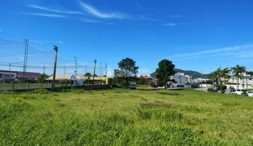 Lote/Terreno à venda, 3000m² no São João do Rio Vermelho, Florianópolis