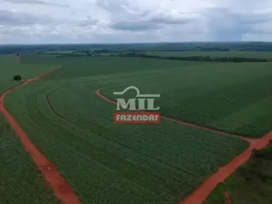Fazenda/Sítio à venda, 500m² no Chácaras Di Carvalho, Uberaba
