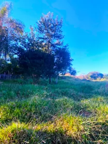 Fazenda/Sítio à venda, 2000m² no Chácaras Boa Sorte, Goiânia