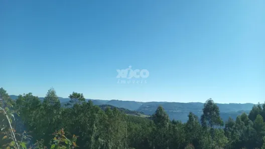 Fazenda/Sítio com 1 Quarto à venda, 33527m² no , Picada Café