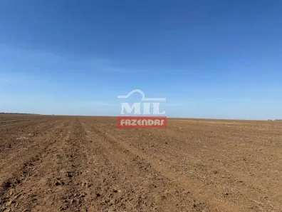 Fazenda/Sítio à venda, 500m² no , Bom Jesus