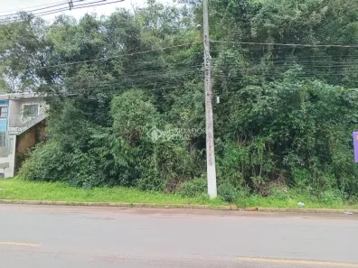 Lote/Terreno à venda, 396m² no Campestre, São Leopoldo