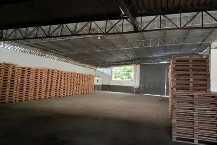Galpão/Depósito/Armazém com 5 Quartos à venda, 4000m² no Cidade Jardim Cumbica, Guarulhos