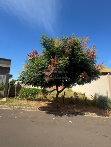 à venda, 336m² no Centro, Guapiaçu