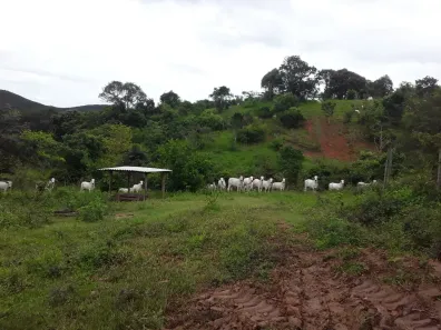 Fazenda/Sítio com 3 Quartos à venda, 254m² no , Cocalzinho de Goiás