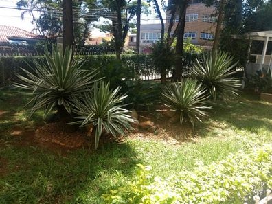 Apartamento com 2 Quartos à venda, 55m² no Vila Nova Cachoeirinha, São Paulo
