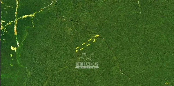 Fazenda/Sítio à venda, 177900000m² no , Novo Aripuanã