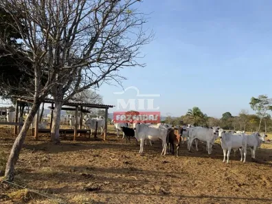 Fazenda/Sítio à venda, 500m² no , Araçu