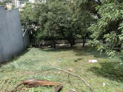 Lote/Terreno à venda, 600m² no Rolinópolis, São Paulo