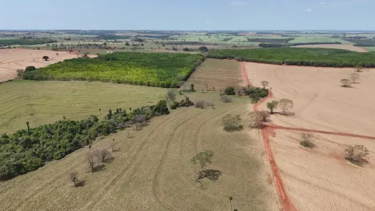 Fazenda/Sítio com 3 Quartos à venda, 520058m² no Área Rural de Palestina, Palestina