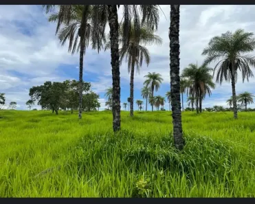 Fazenda/Sítio à venda, 600000m² no , Cabeceiras
