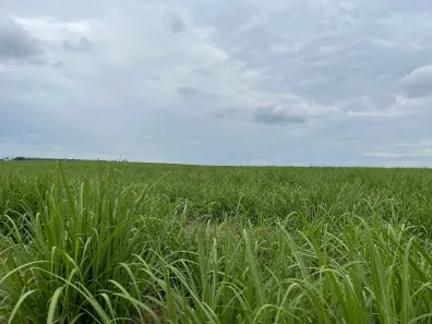 Fazenda/Sítio com 1 Quarto à venda, 1m² no Área Rural de Araraquara, Araraquara