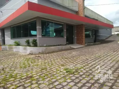 Fazenda/Sítio com 3 Quartos à venda, 36300m² no Roça Velha, São José dos Pinhais