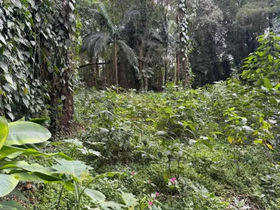 Lote/Terreno à venda, 5120m² no Chácara Flora, São Paulo