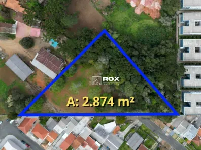 Lote/Terreno à venda, 2874m² no Campina da Barra, Araucária