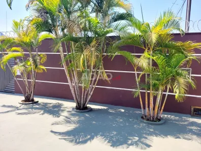 Casa com 3 Quartos à venda, 365m² no Setor Pedro Ludovico, Goiânia