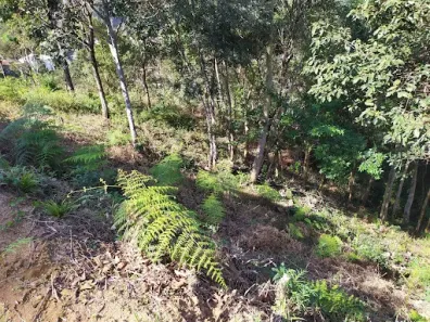 Lote/Terreno à venda, 549m² no Cônego, Nova Friburgo
