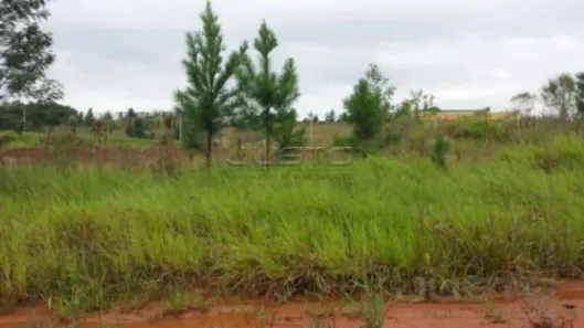 Lote/Terreno à venda, 6063m² no Campestre, São Leopoldo