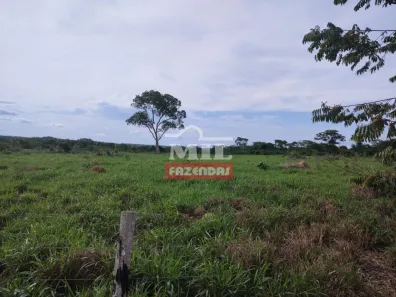 Fazenda/Sítio à venda, 1m² no , Aliança do Tocantins