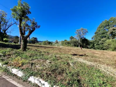 Fazenda/Sítio à venda, 27000m² no Carazal, Gramado