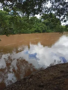 Fazenda/Sítio com 1 Quarto à venda, 2512m² no , Cezarina