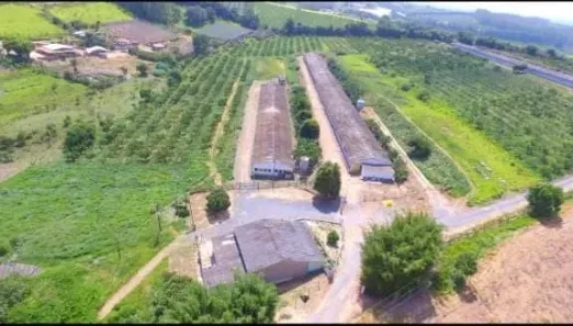 Fazenda/Sítio com 3 Quartos à venda, 90m² no , Pilar do Sul