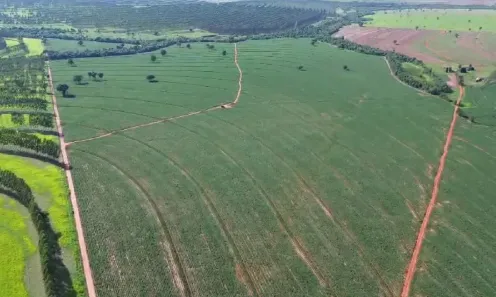 Fazenda/Sítio à venda, 2032000m² no , Xambrê