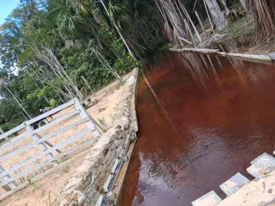 Fazenda/Sítio com 4 Quartos à venda, 25000m² no , Novo Airão
